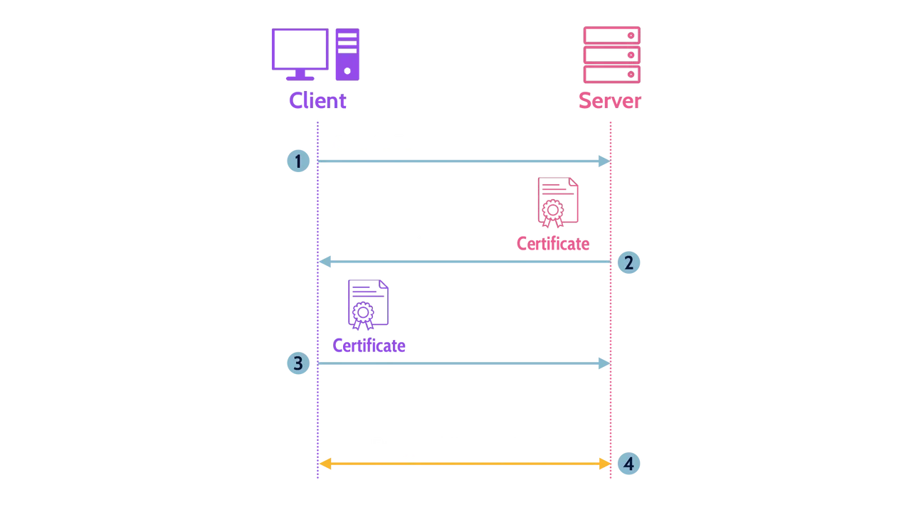 Image of The Basic TLS Handshake - Destination Certification