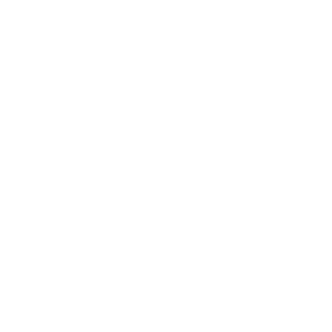 Icon for fast track leadership - Destination Certification
