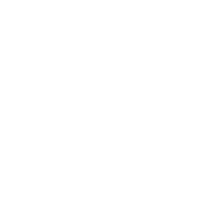Icon content consistency - Destination Certification