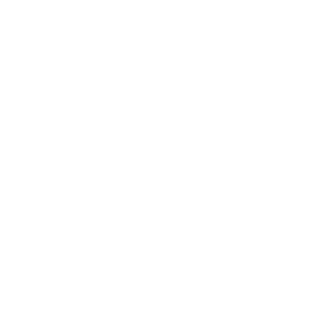 Icon excel - Destination Certification