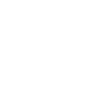 Icon excellence education - Destination Certification