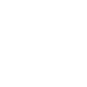 Icon for expertise - Destination Certification