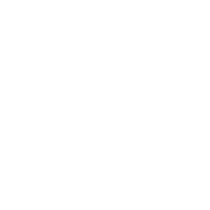 Icon integrity and transparency - Destination Certification