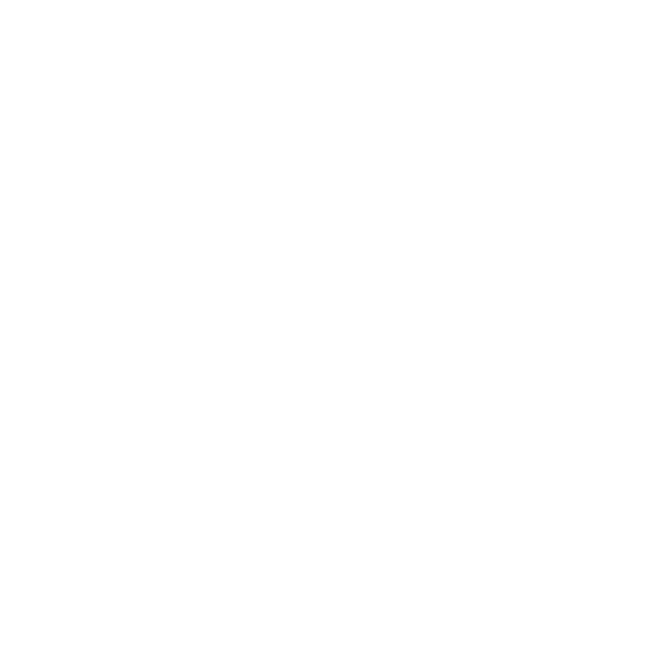 Icon our mission - Destination Certification