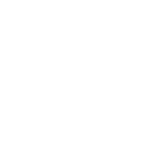 Icon of success - Destination Certification