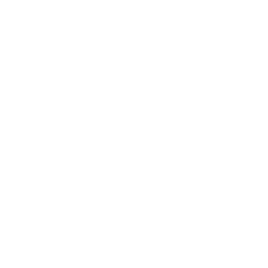 Icon support - Destination Certification