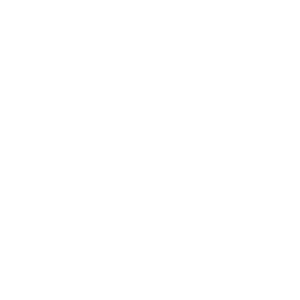 Icon simplifying path - Destination Certification