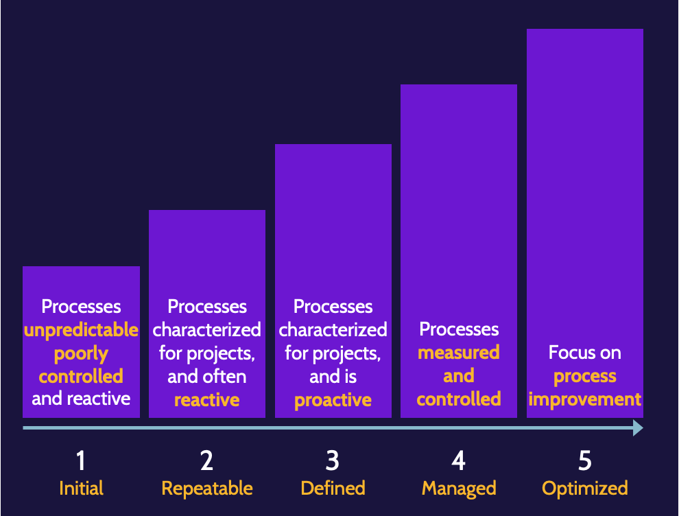 Image of maturity models on cissp domain 8 - Destination Certification