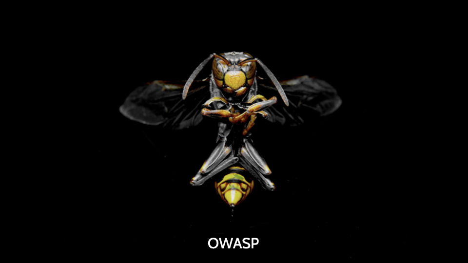 Image of OWASP Top 10 - Destination Certification