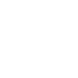 Icon of platform capabilities type - Destination Certification