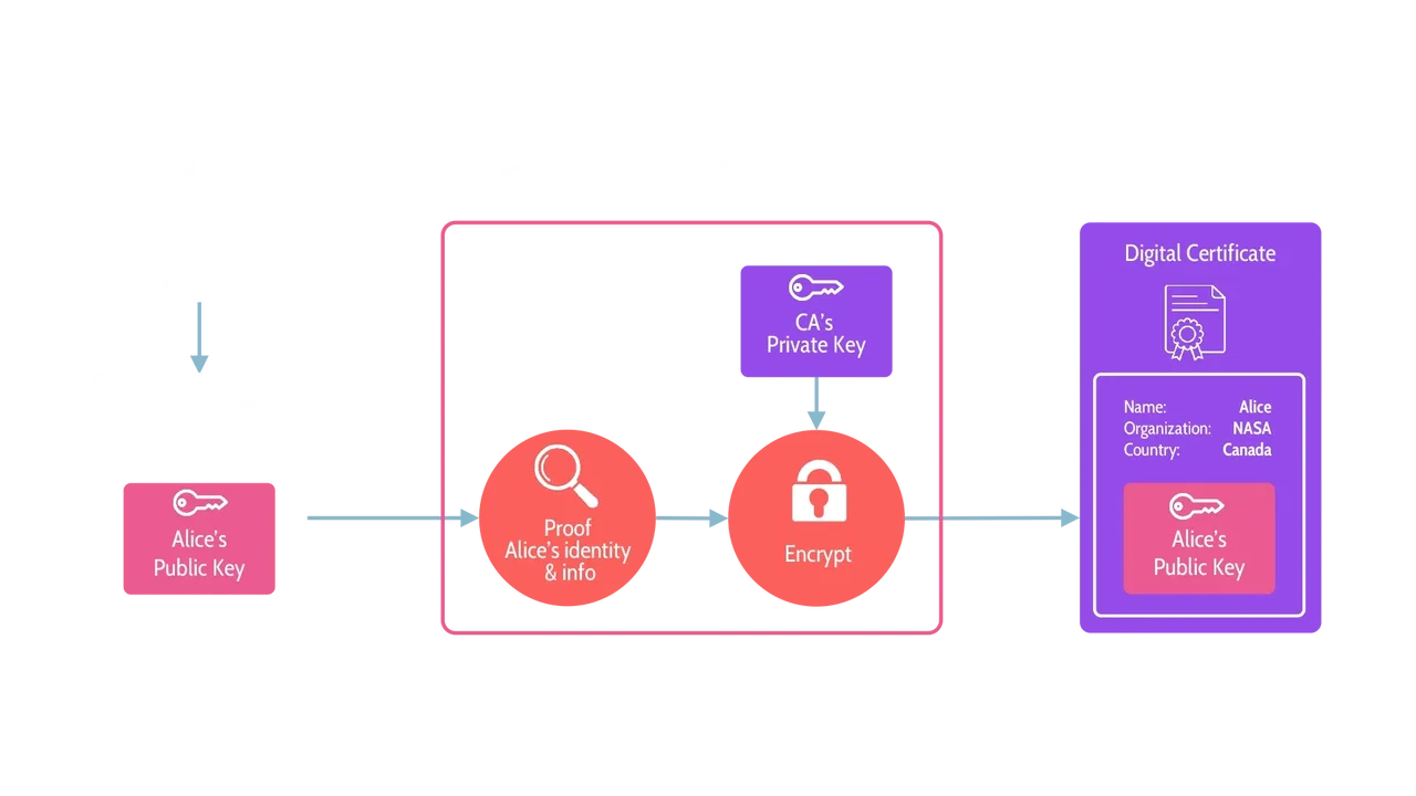 Image of the process of creating a digital certificate - Destination Certification
