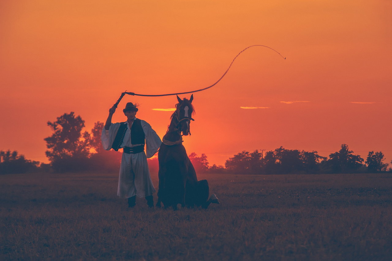 Image of a man in a circus outfit on a sunset - Destination Certification