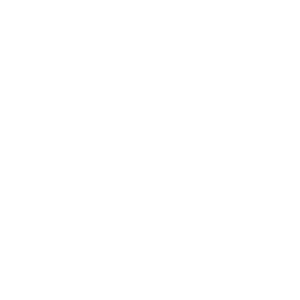 Icon for strategic decision framework - Destination Certification